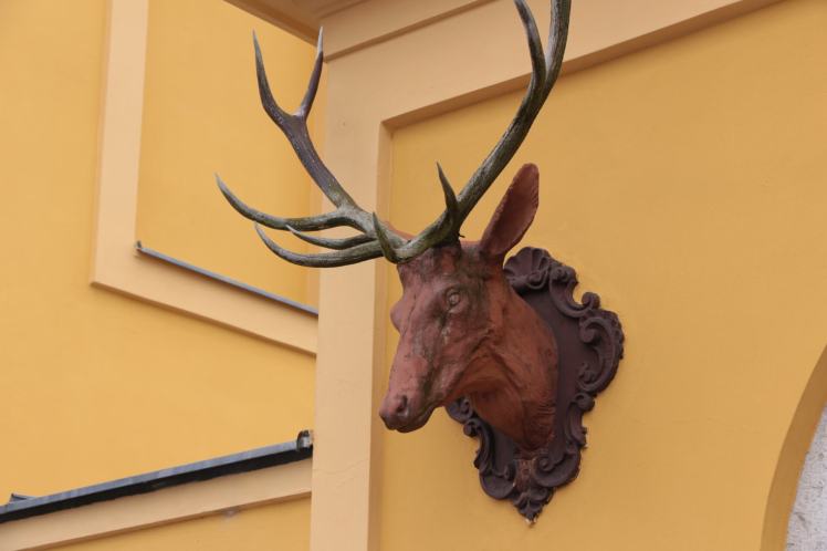 02 Forsthaus Auhof Geweih 1