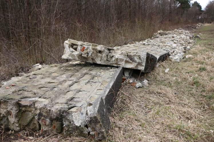 20 Hochspannungsschneise Alte Mauer wird gekillt 1