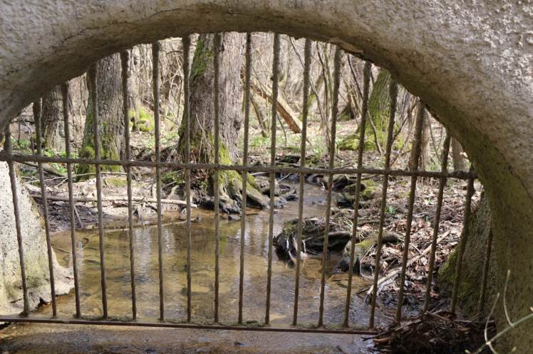 31 Blick durch die Mauer 2