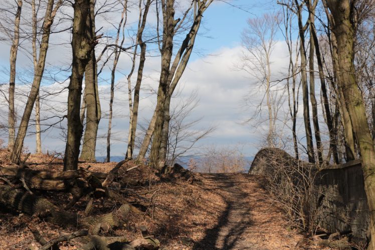 54 Dreihufeisenberg erster Aufstieg geschafft 3