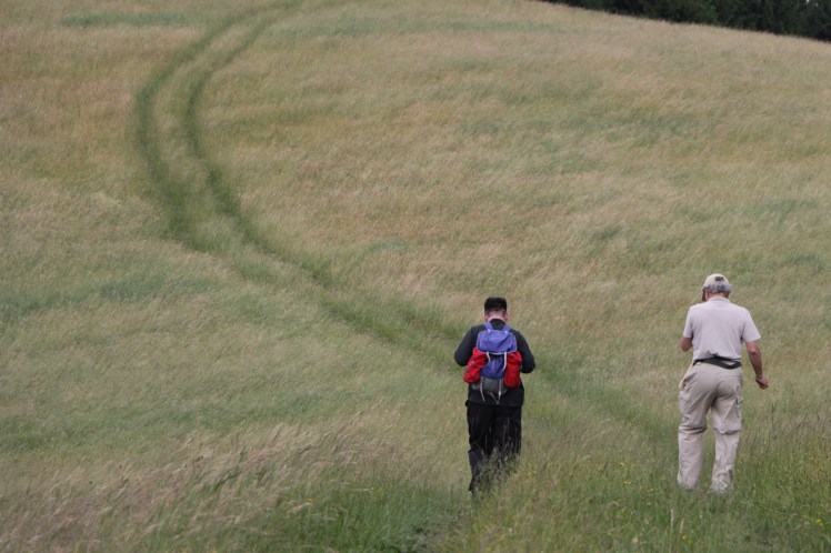77 die Wanderer auf dem Weg zur Linde 3