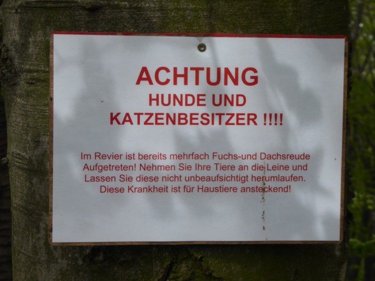11 Hunde und Katzenbesitzer.