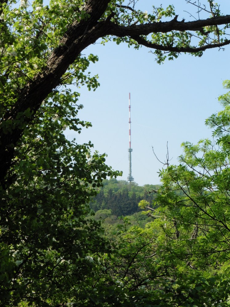 180422-26 Leopoldsberg auf Sender Kahlenberg