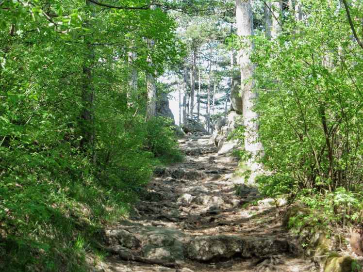 180425-131 Erster Anstieg