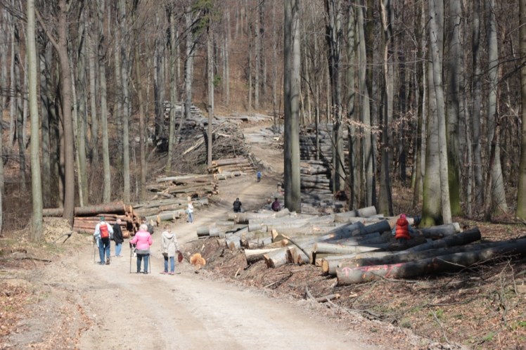 44 Eichenhain bis Windischhütte zerstört 4