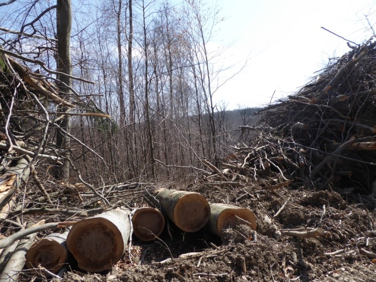 53 Eichenhain bis Windischhütte zerstört 2