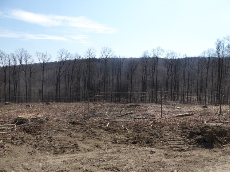 54 Eichenhain bis Windischhütte zerstört 3