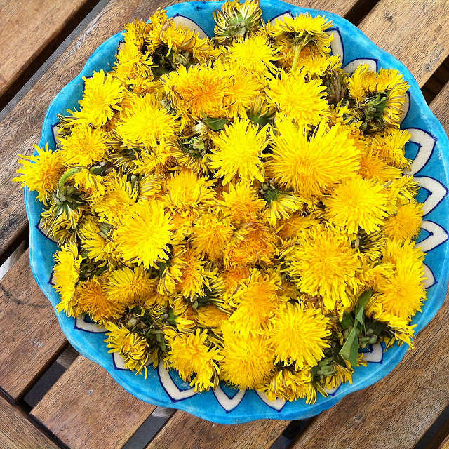 6902470080_619c03a573_z