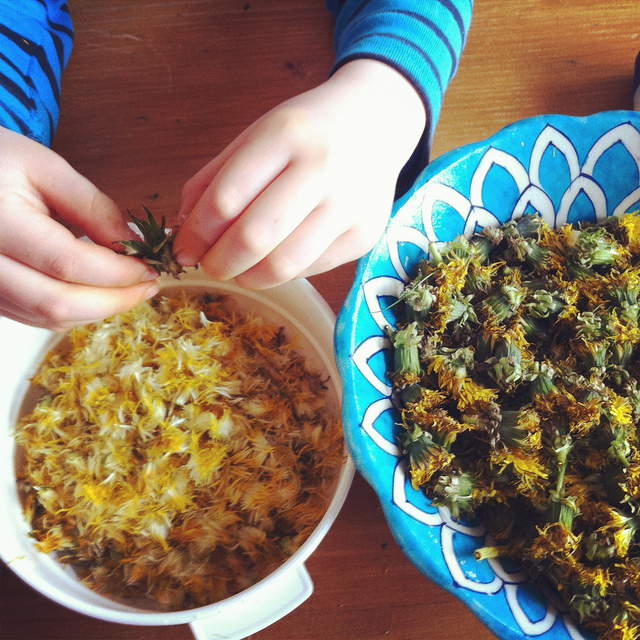 7048563423_2dffc55484_z