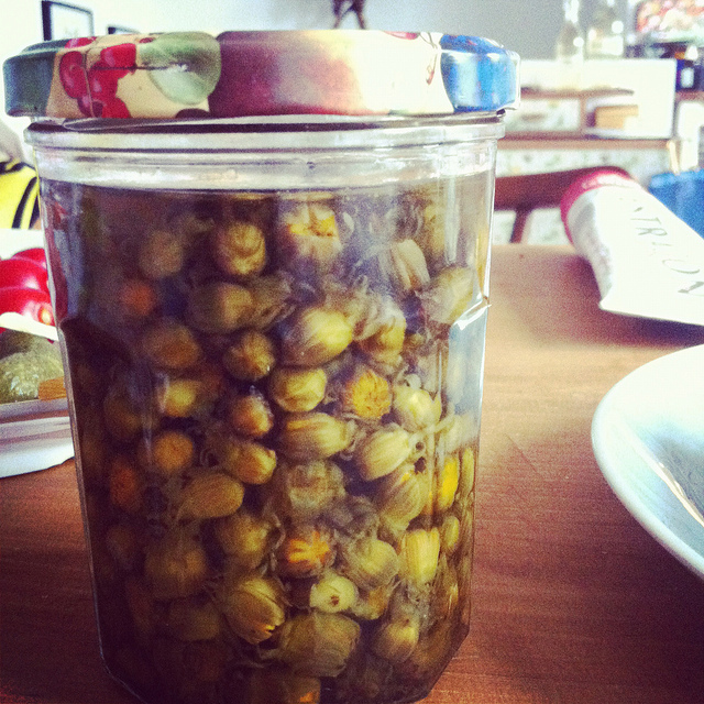 7289352438_0a2bc78570_z