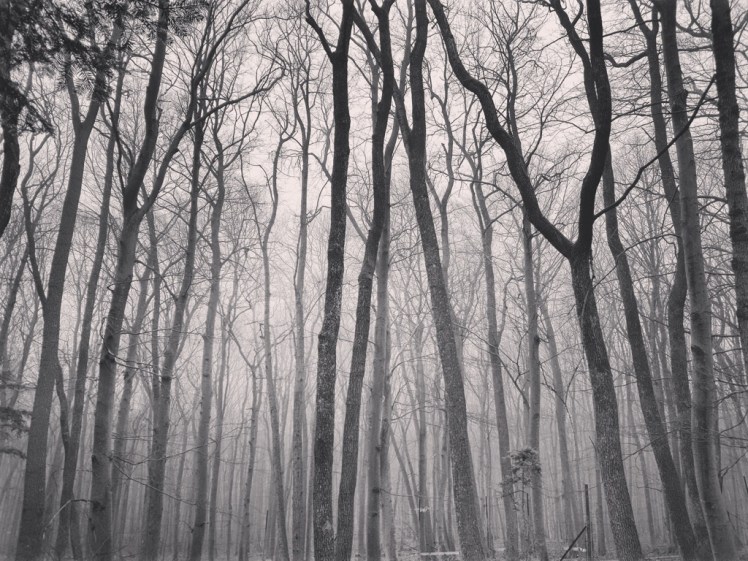 IMG_20180127_194932_512