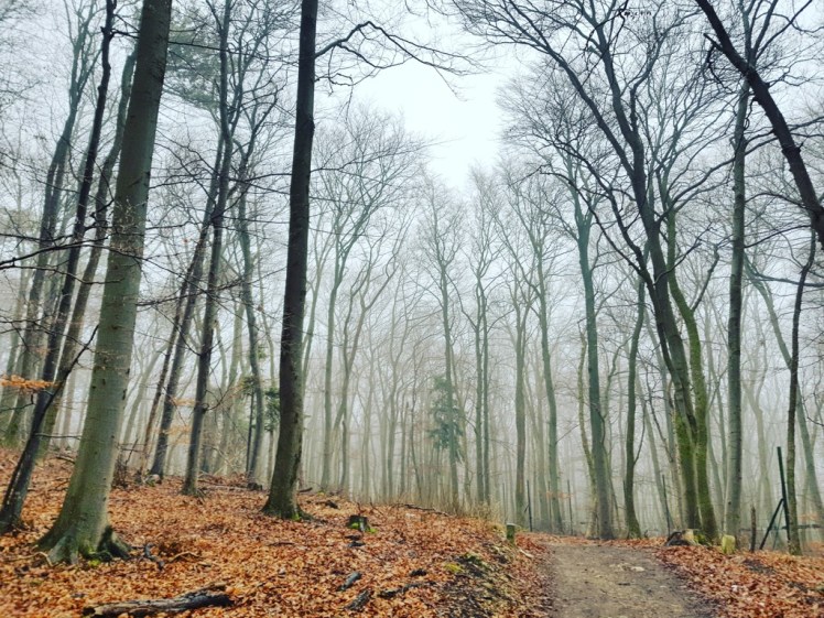 IMG_20180127_195018_561