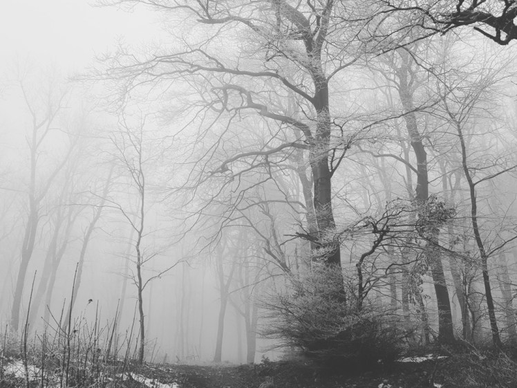 IMG_20180127_200211_633