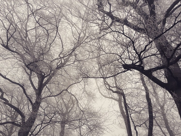 IMG_20180127_200253_280