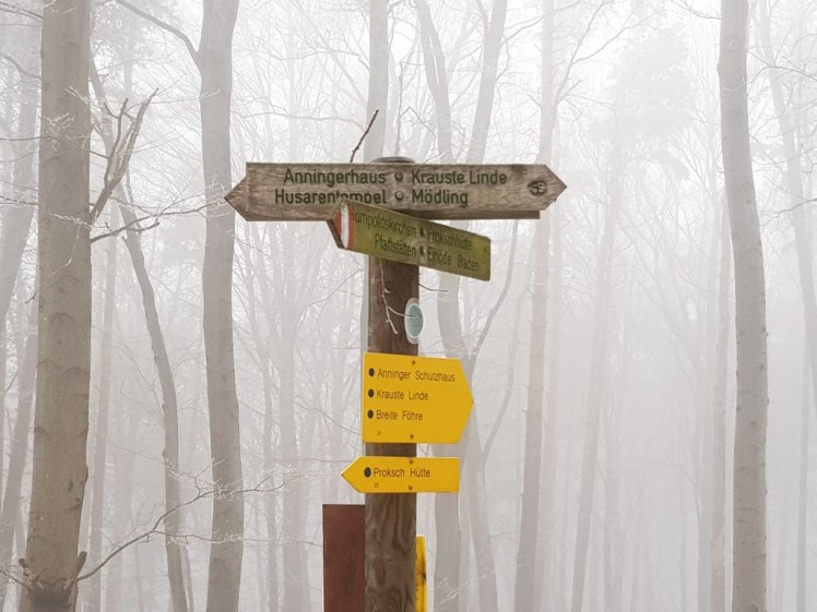 IMG_20180127_200919_352