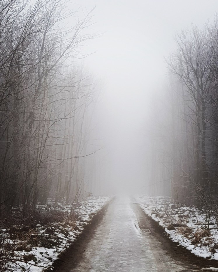 IMG_20180127_201204_226