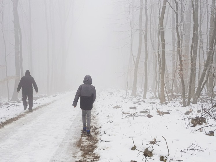 IMG_20180127_201355_763