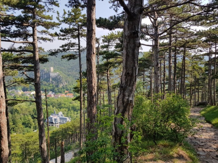 04 Blick vom Rauheneck-Aufstieg auf Rauhenstein 4