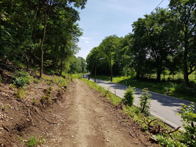 15 geschlägerter Weg neben der Straße nach Vorderhainbach