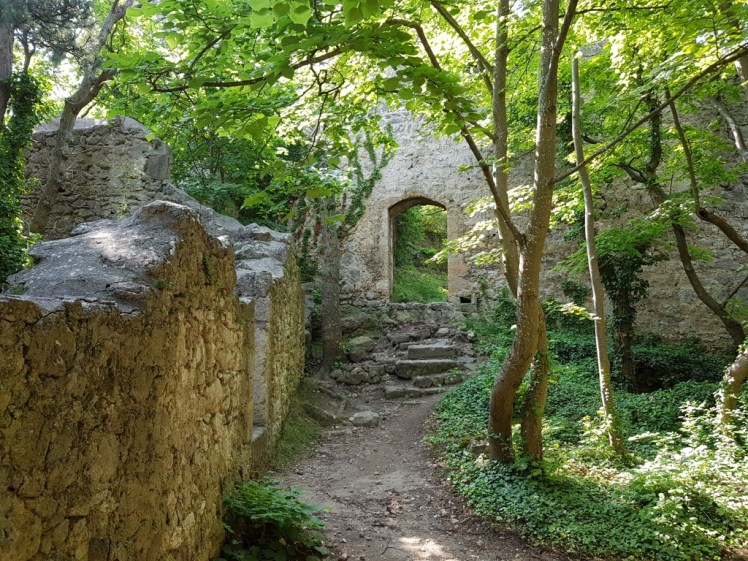 29 Ruine Rauheneck Impressionen 15
