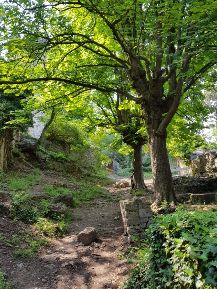 32 Ruine Rauheneck Impressionen 18