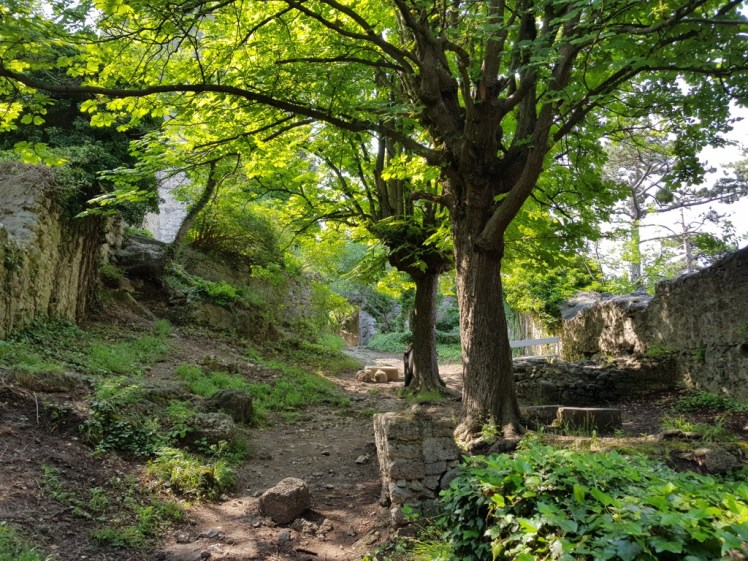 33 Ruine Rauheneck Impressionen 19