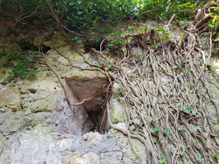 39 Ruine Rauheneck Impressionen 23