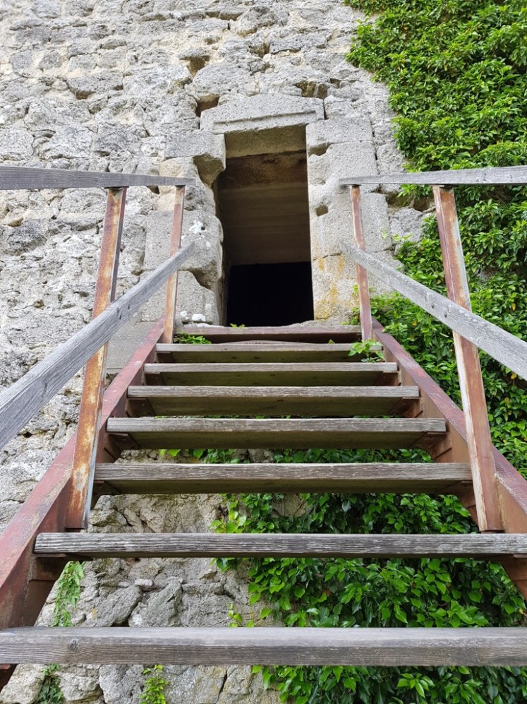 40 Aufstieg zum Turm Ruine Rauheneck 3