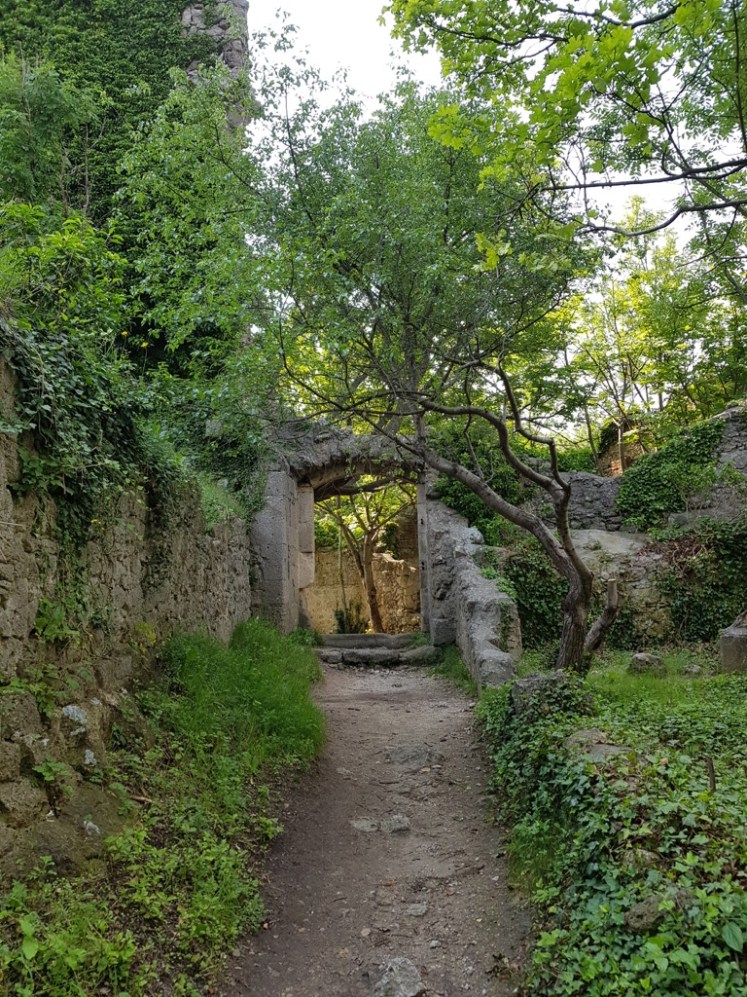 54 Ruine Rauheneck Impressionen 30