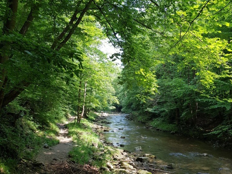 68 Wegerl im Helenental_Schwechat 2