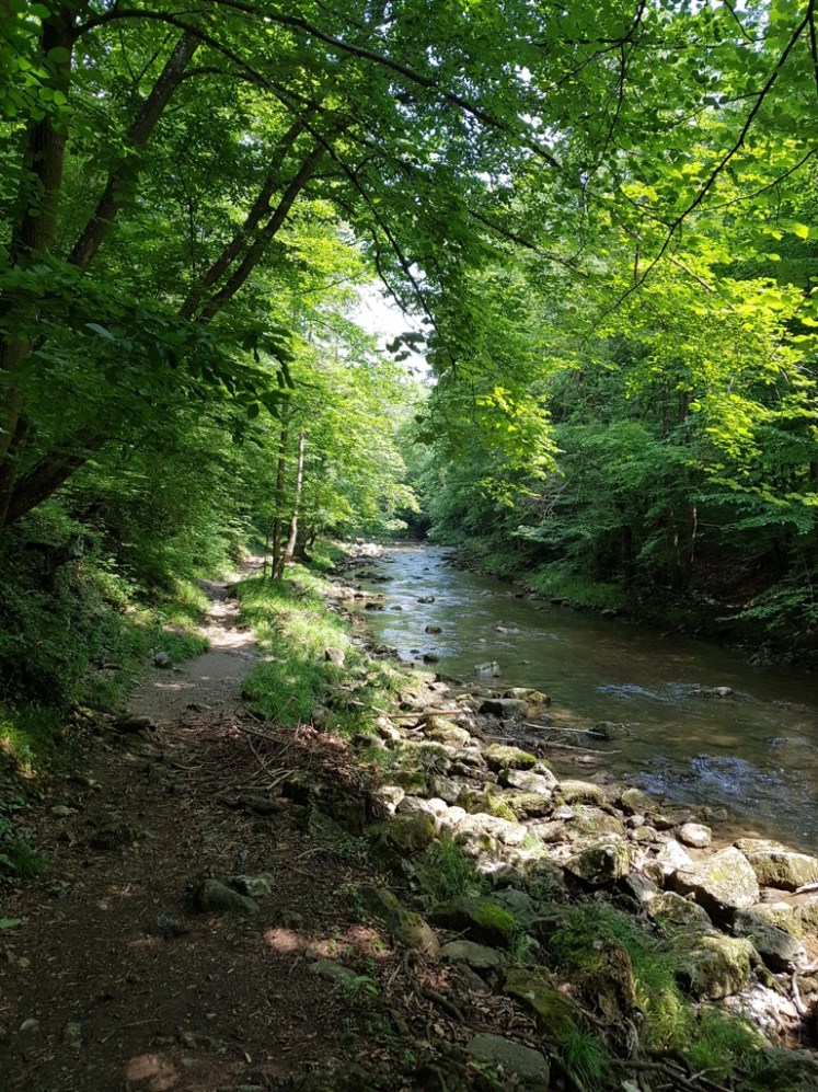 68 Wegerl im Helenental_Schwechat 2