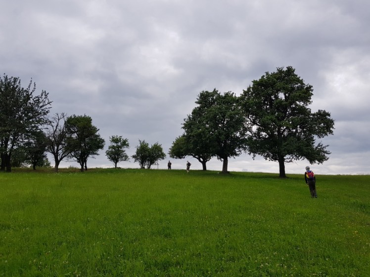 19 Wegkreuzung vor Waldhof 2