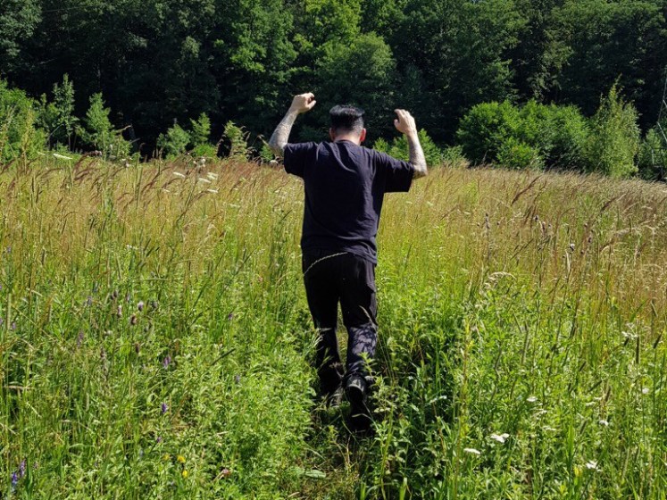 03 Hände hoch, Wiese!