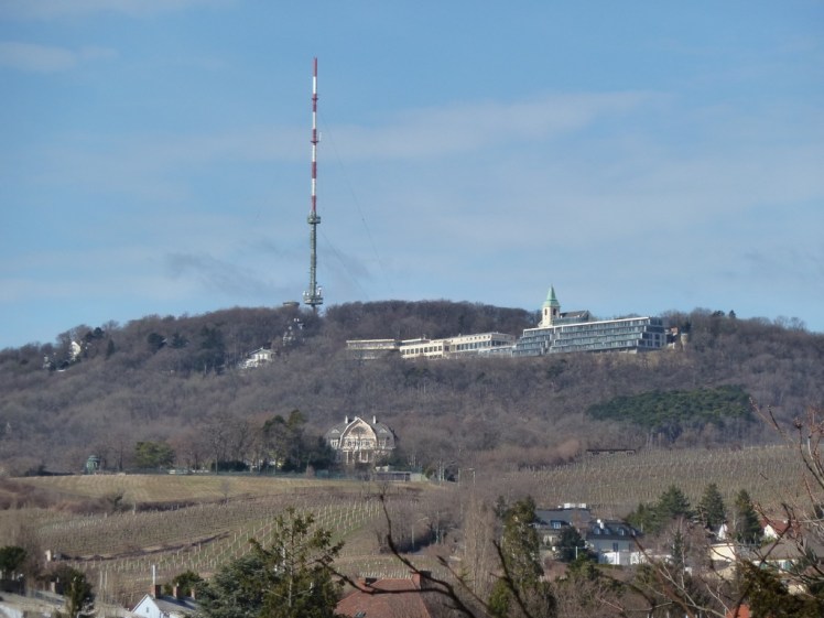 110212-Kahlen- und Leopoldsberg.jpg