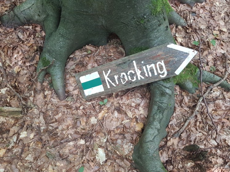 15 Kracking-Pfeil, gefallen