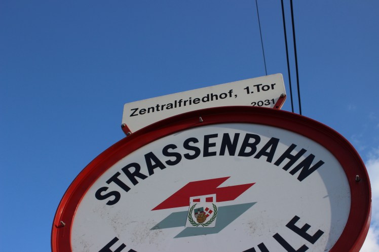 32564287063_5c602bd54f_o