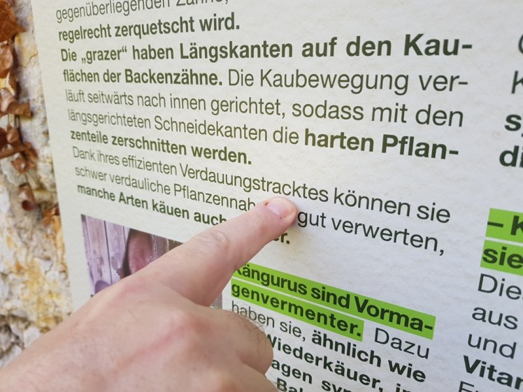 11 vertrackter Verdauungstrackt