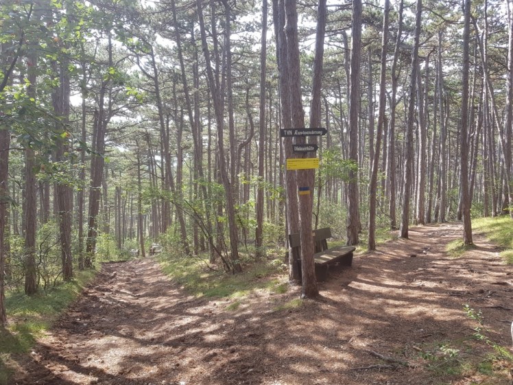 21 Wegkreuzung zur Vöslauerhütte 2