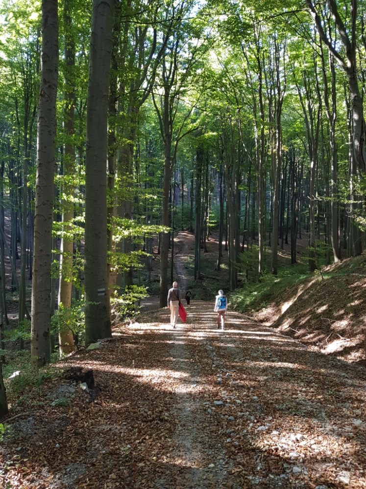 01 vor Anstieg auf Troppberg