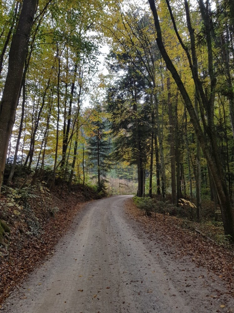 05 1. Aufstieg Schotterstraße