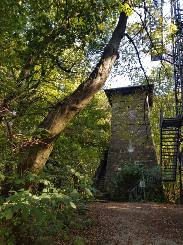 07 Blick zurück auf die Troppbergwarten
