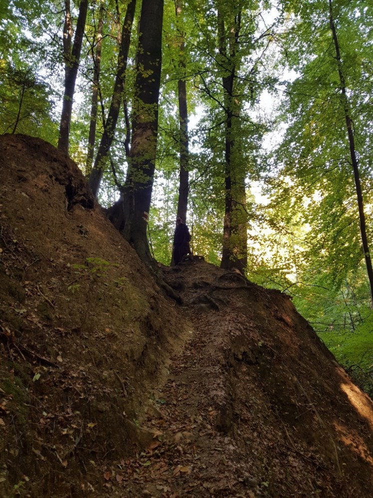 09 Aufstieg nach Überquerung des Laabachs
