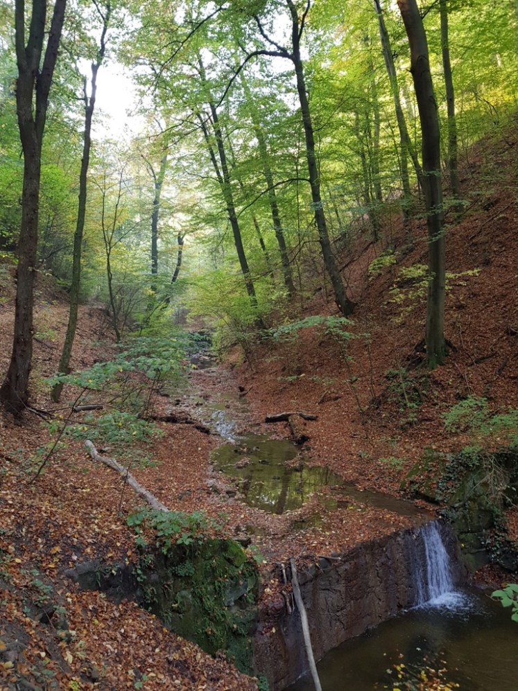 17 Hagenbachklamm Herbstimpressionen 5