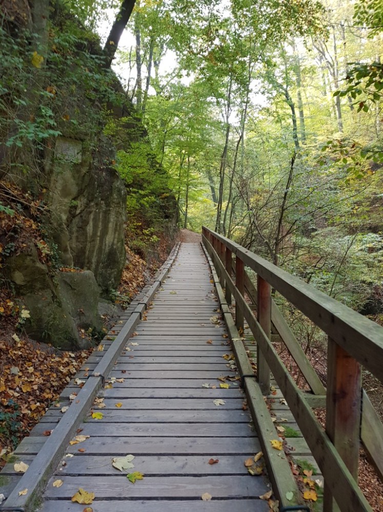 18 Hagenbachklamm Herbstimpressionen 6