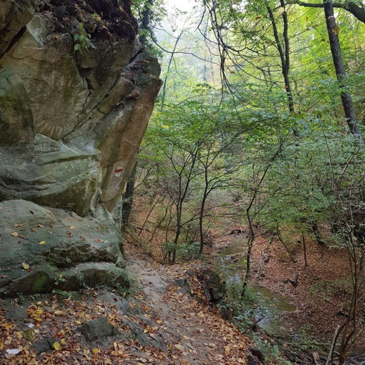 19 Hagenbachklamm Herbstimpressionen 7