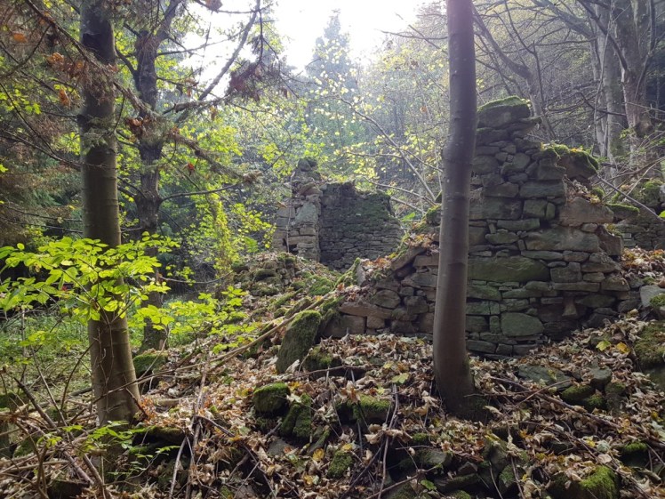 20 Hausruine nach Abzweigung 2