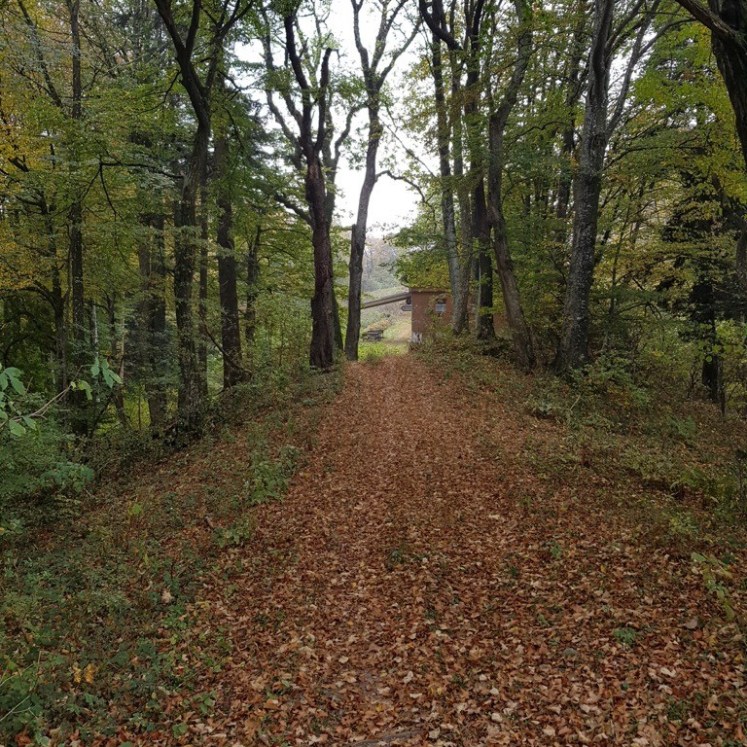 23 Annäherung an Stockerhütte 1