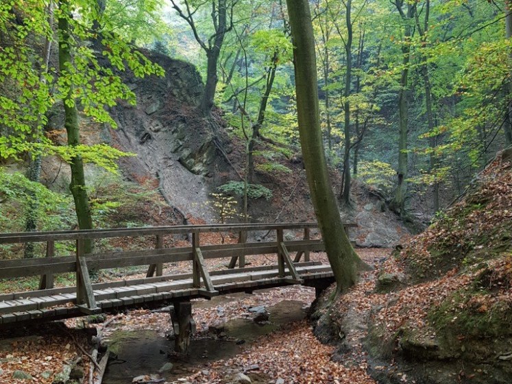 26 Hagenbachklamm Herbstimpressionen 13
