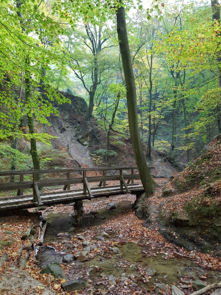 26 Hagenbachklamm Herbstimpressionen 13