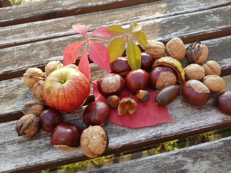 34 Herbst-Stilleben 2